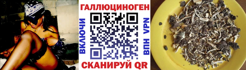omg сайт  Кола  Псилоцибиновые грибы мухоморы 